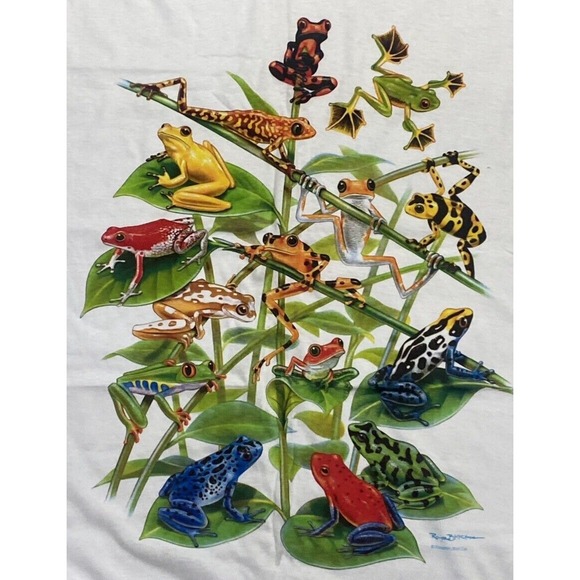 VTG 90s Royce McClure Frog Graphic Tank Dress Extra Long Anvil USA OS Hole READ! - Picture 3 of 16